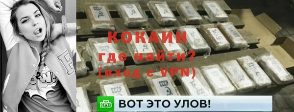 ECSTASY Гусев