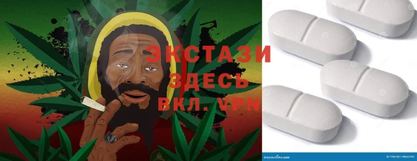 ECSTASY Гусев