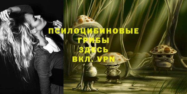 ECSTASY Гусев